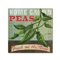 Trademark Fine Art Fiona Stokes-Gilbert 'Peas' Canvas Art, 14x14 ALI13671-C1414GG